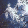 Img_1537_thumb