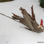 Twisted_roosters_021_card