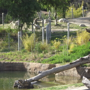 February_2012_chuckie_cheese__and_zoo_060_card