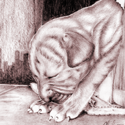 C15_card