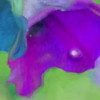 Fff_thumb