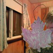 Maple_leaf_card