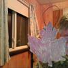 Maple_leaf_thumb