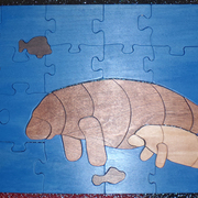 Manatees_card