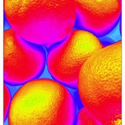 Orange__card