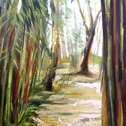 Caminho_do_imagin_rio_card