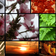 Changingseasons_copy_card