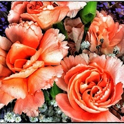 Peach_card