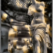 _venus_card