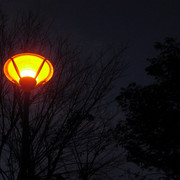 Img_0703-2_card