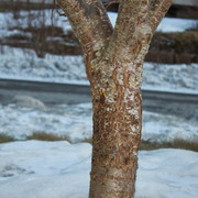 Img_9347_card