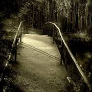 Sizedbridged_card