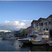 Harbor_card