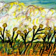 Clouds_along_the_beach_moving_in_card