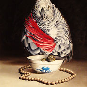 Il_guardiano_della_lucertola_card