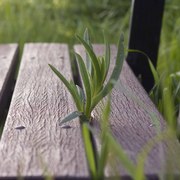 Img_0629_card