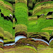 Dairy_rolls_card
