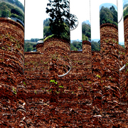 Red_soil_totems_card