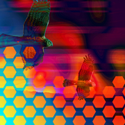 Hawksdream_copy_card