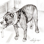 Img028_card