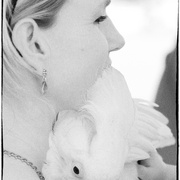 Bird_card
