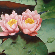 Lotus_flowers_card