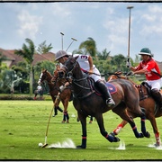 Poloaction_card
