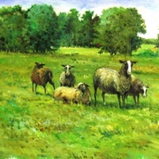 2164964_card