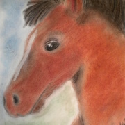 Dscn2158_card