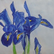 Irises_edit_1_card