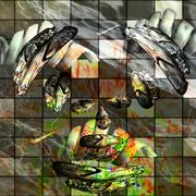 Cxz--9_card