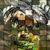 Cxz--9_thumb