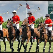 Audipolo_card