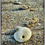 Hole_card