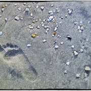 Footprint_card