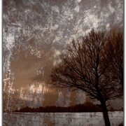 Untitled-m_card