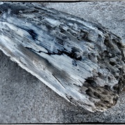 Deadwood_card