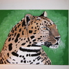 Leoparddone_thumb