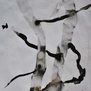 72s01_card