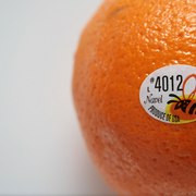 Orange-sm_card