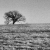 093_thumb