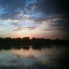 194_thumb