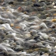Img_5040_card