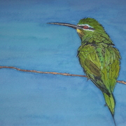 Kingfisher_on_branch_card