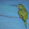Kingfisher_on_branch_thumb