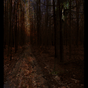 Untitled-1_card