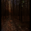 Untitled-1_thumb