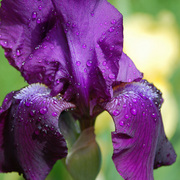 Dsc_0036_edited-2_card