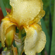 Dsc_0038_edited-4_card