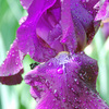 Dsc_0039_edited-4_thumb